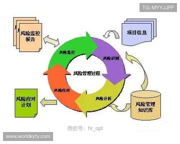 开云集团旗下品牌的主要产品系列及其市场竞争优势